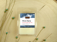 Load image into Gallery viewer, OCEAN SPRAY SOY BLEND CANDLE