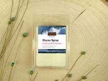 Load image into Gallery viewer, OCEAN SPRAY SOY BLEND CANDLE