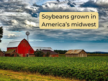 Load image into Gallery viewer, DICKENS CHRISTMAS SOY BLEND CANDLE