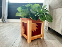 Load image into Gallery viewer, QUILTERS BEARCLAW REDWOOD PLANTER