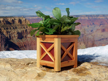 Load image into Gallery viewer, Farmhouse planter at the Grand Canyon