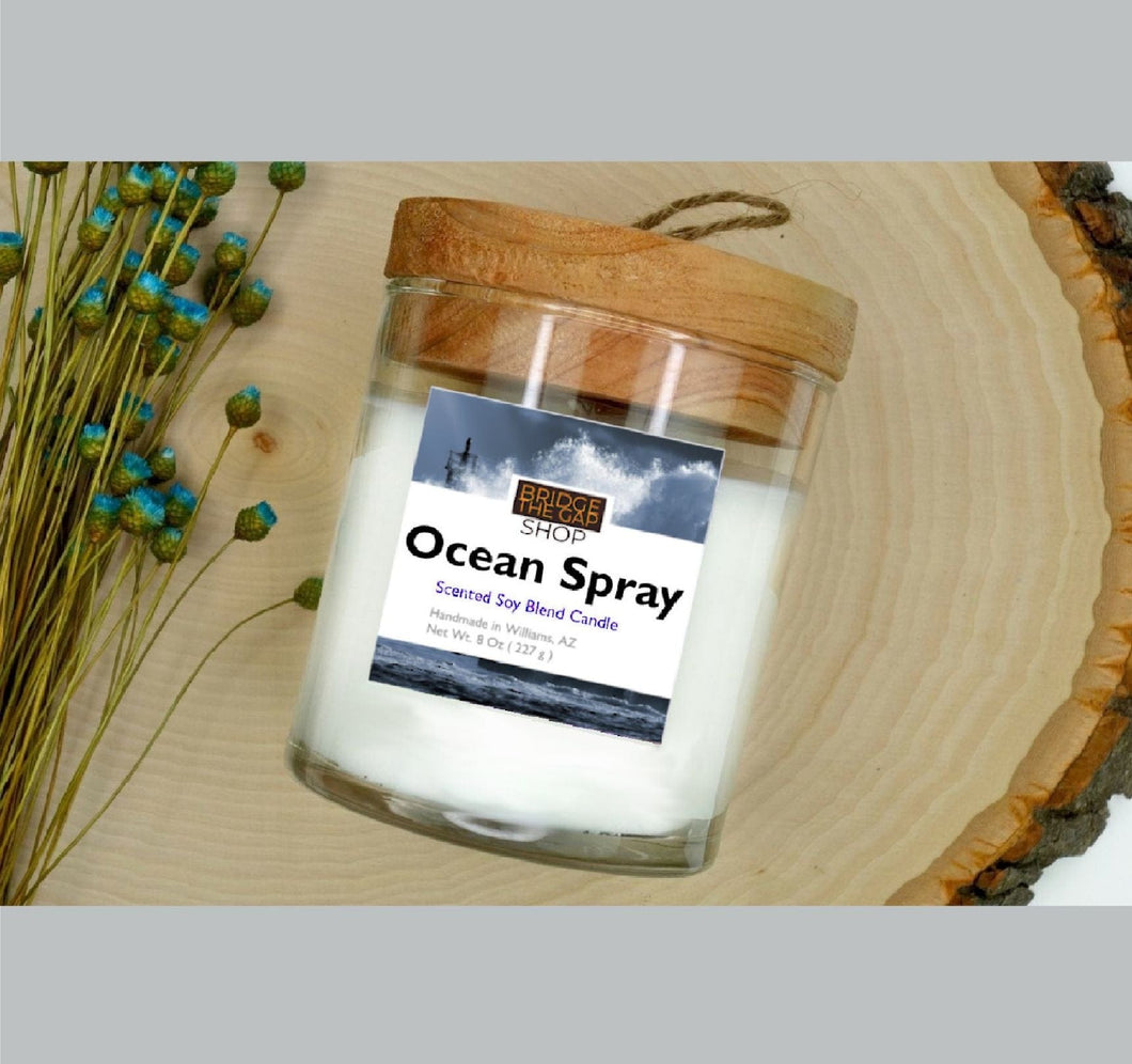 OCEAN SPRAY SOY BLEND CANDLE